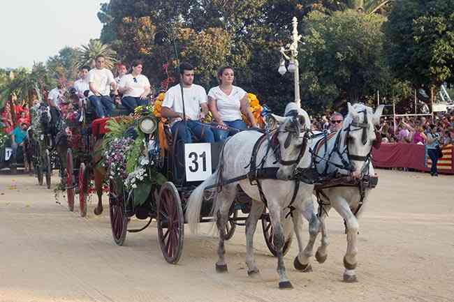 BatallaFlores2017  15 