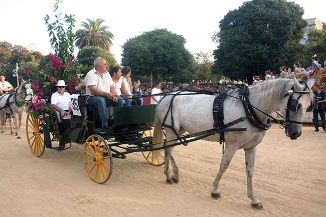 BatallaFlores2017  31 