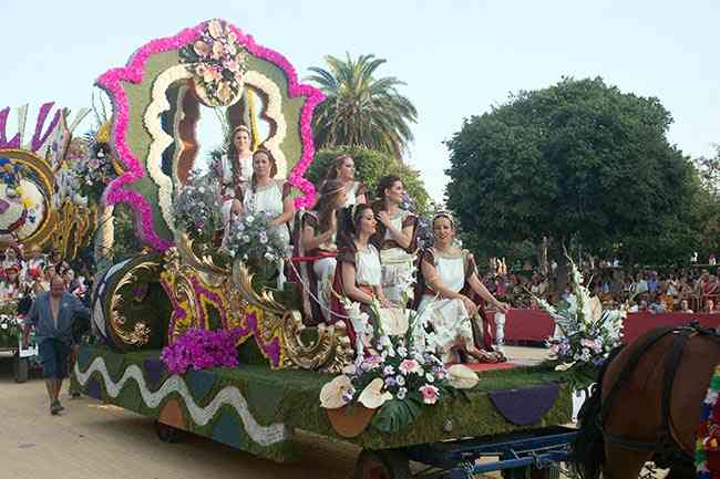 BatallaFlores2017  35 