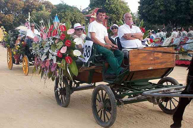 BatallaFlores2017  40 