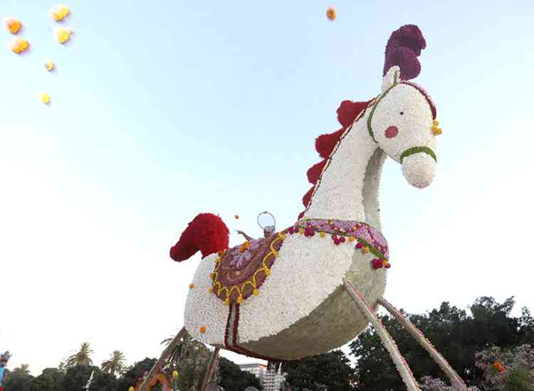 Batalla de Flores 2019  10 