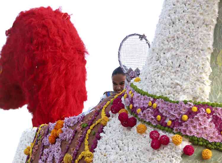 Batalla de Flores 2019  17 