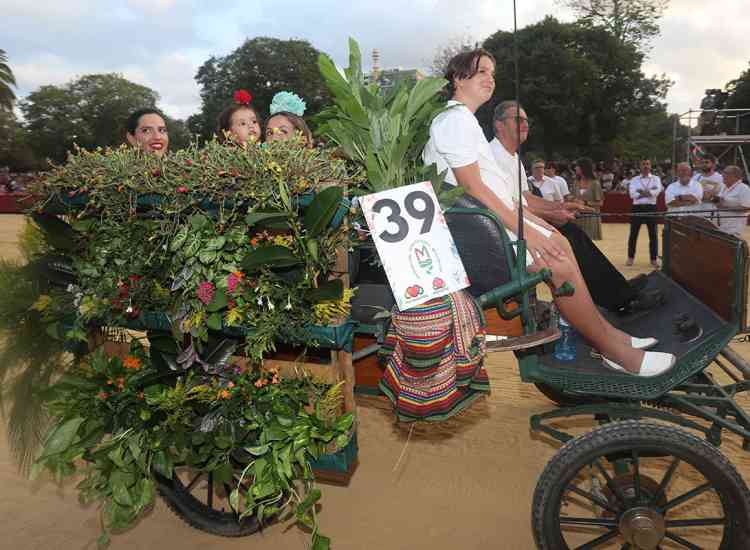 Batalla Flores 23  34 