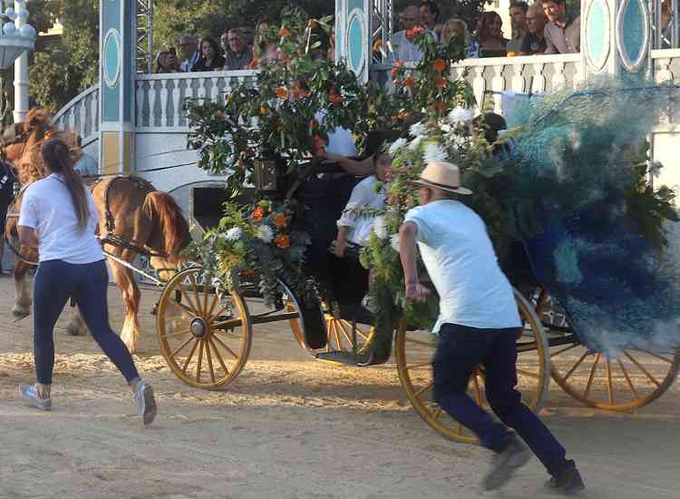 batalla flores 25 ii  