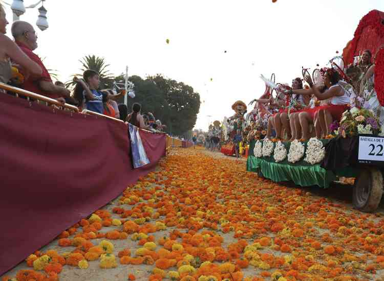 batalla flores 25 ii  