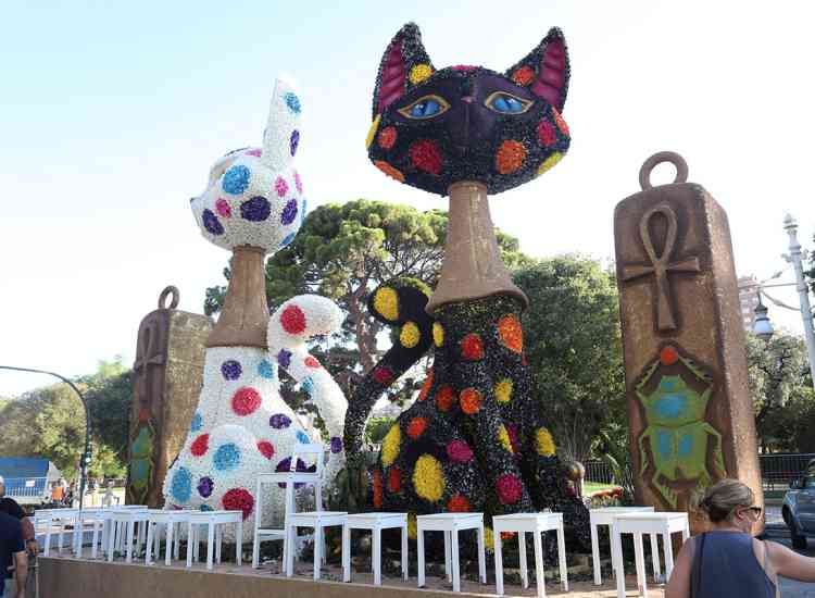 batalla flores 25 ii  