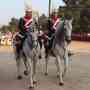 batalla flores6  