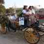 batalla flores 26  
